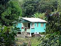 Dominica: Traditionelles Haus in der Tropenlandschaft