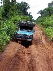 Guyana: Bedford-Spuren behindern das Fahren durch den Iwokrama-Regenwald zwischen Annai und Kurupukari