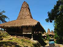 Kampung Tarung in Waikabubak/Sumba/Indonesia: Traditional village with straw thatched houses