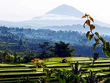 Indonesien/Bali: Reisfelder und Vulkane - typisch für Südostasien'