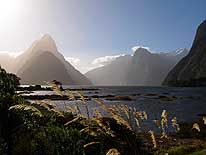 Neuseeland/Südinsel: Abendstimmung am Milford Sound